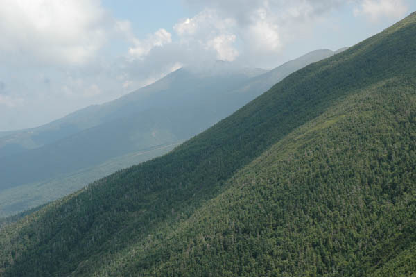 DSC_0438