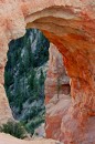 Bryce_0768 * Window 4 * 2000 x 3008 * (2.22MB)