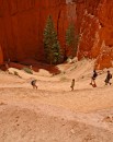 Bryce_0791 * Hiking Down Navajo Loop Trail * 2000 x 2512 * (1.4MB)