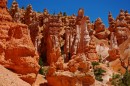 Bryce_0821 * Queen's Garden Hoodoos * 3008 x 2000 * (2.25MB)