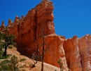 Bryce_0835 * Sandstone Wall * 2286 x 1780 * (1.11MB)