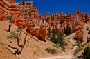 Bryce_0842 * Queen's Garden * 3008 x 2000 * (2.45MB)
