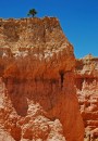 Bryce_0895 * Lone Pine * 2000 x 2883 * (2.07MB)