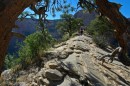 Zion_0547_AngelsLanding * Along the Top * 3008 x 2000 * (2.23MB)
