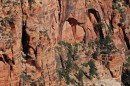 Zion_0575_AngelsLanding * Future Arches * 3008 x 2000 * (2.55MB)