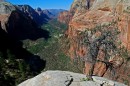 Zion_0592_AngelsLanding * Floor of the Valley View * 3008 x 2000 * (2.26MB)