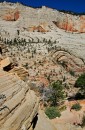 Zion_0604_AngelsLanding * Cathedral Mountain Navajo Sandstone * 1820 x 2765 * (2.0MB)