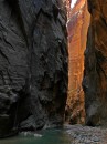 Zion_0348_Narrows * Around the Bend * 2000 x 2655 * (1.3MB)