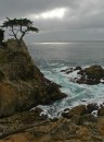 200701-021 * 1992 x 2667 * (1.29MB)