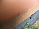 IMG_9301 * 2048 x 1536 * (1.17MB)