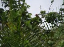 IMG_9348 * 2048 x 1536 * (1.49MB)